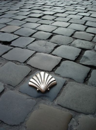 Disfruta el Camino en BTT